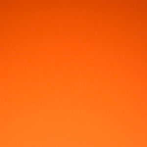 Meet your Posher, Jaymes